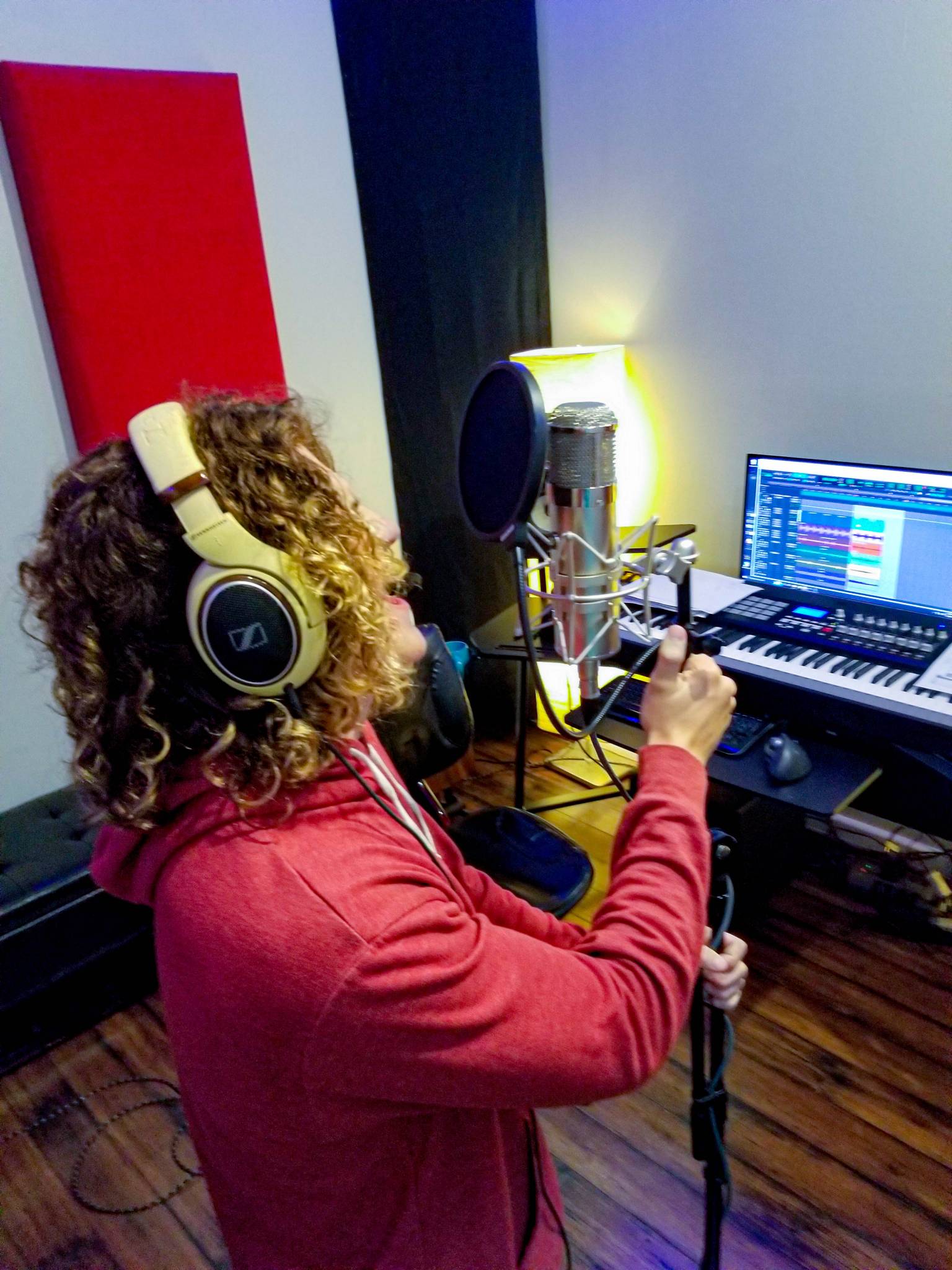 Pro Music Instruction Music Lessons The Woodlands TX